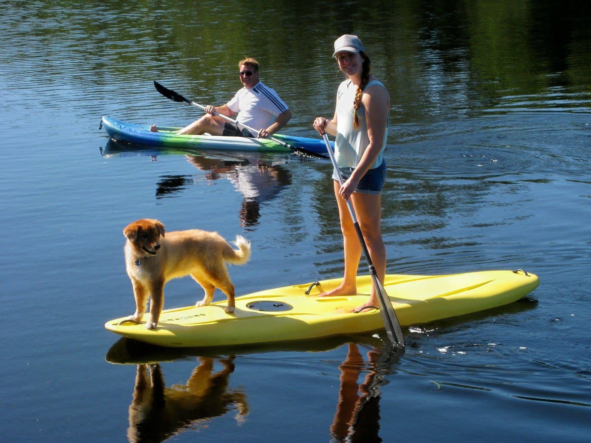 Flip Flop Cottages - Siesta Key Gulf Gate Estates Eksteriør bilde